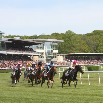 Hippisme. L'hippodrome du Lion d'Angers doit renoncer à sa première...